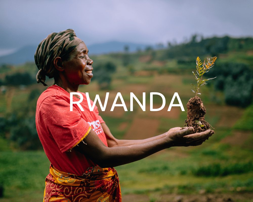 Buvanha plant bomen In Rwanda samen met Onetreeplanted. Deze mooie plek in Afrika wordt in samenwerking met kleine boeren weer opgebouwd tot een mooi stukje natuur.